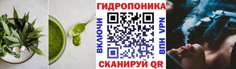 что такое наркотик  Черняховск  Cannafood марихуана 