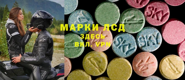 ECSTASY Ладушкин