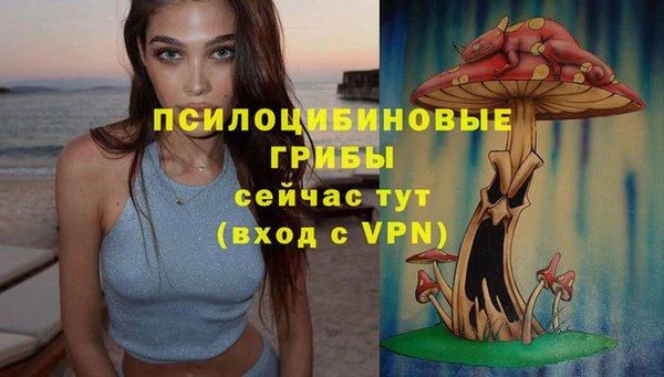 ECSTASY Ладушкин