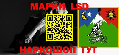 крисы Кулебаки