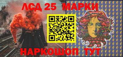 крисы Кулебаки