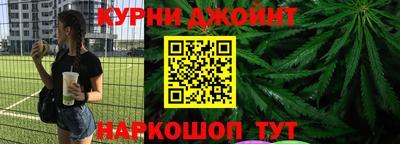 крисы Кулебаки