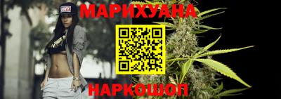 крисы Кулебаки