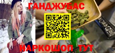 крисы Кулебаки