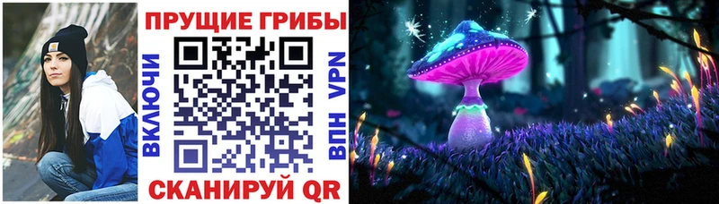 сколько стоит  Черняховск  Галлюциногенные грибы GOLDEN TEACHER 