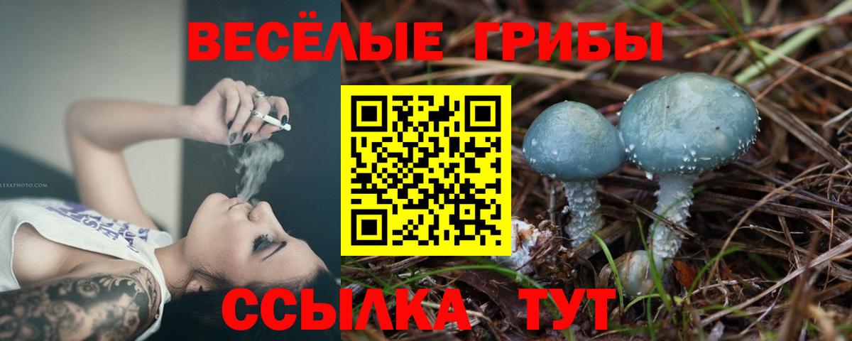 Псилоцибиновые грибы прущие грибы  Вход с VPN  Черняховск  Псилоцибиновые грибы MAGIC MUSHROOMS 